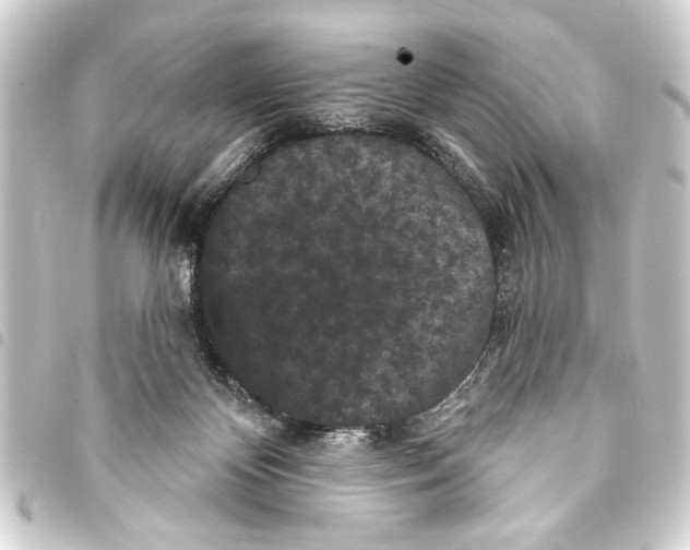 X0000093400124200711020942