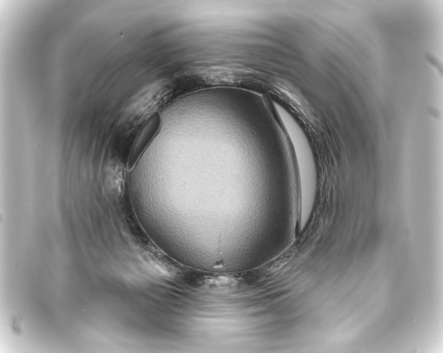 X0000093400125200711020942