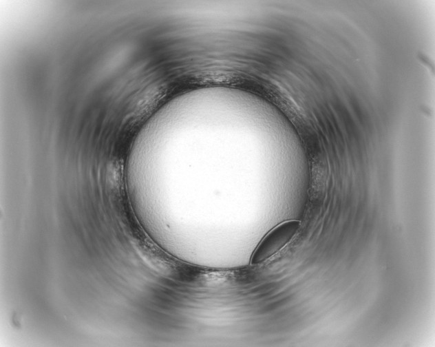 X0000093400126200711020942