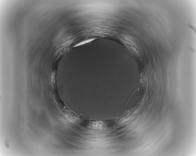 X0000093400127200711020942