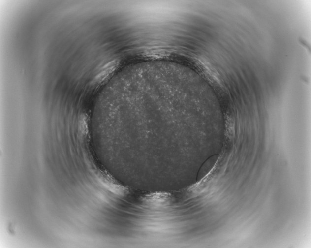 X0000093400128200711020942