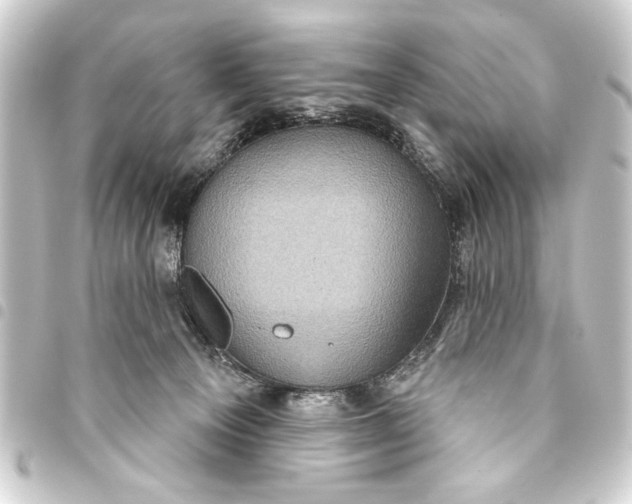 X0000093400129200711020942