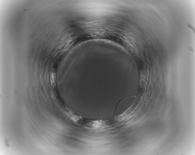 X0000093400130200711020942