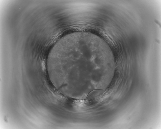 X0000093400131200711020942