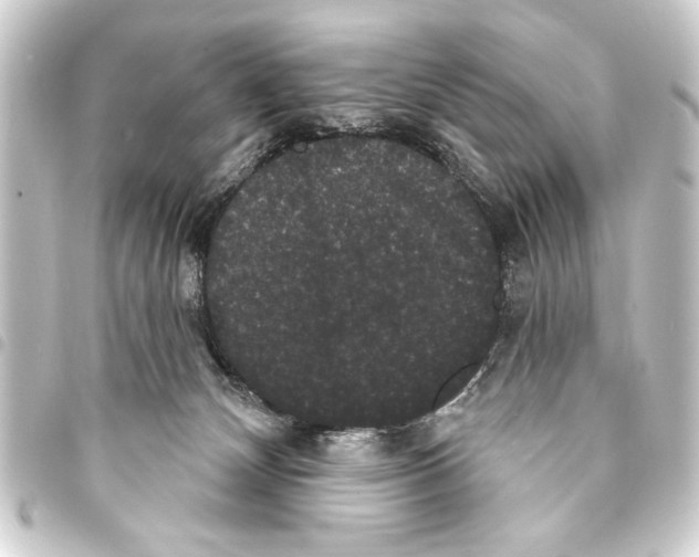 X0000093400132200711020942