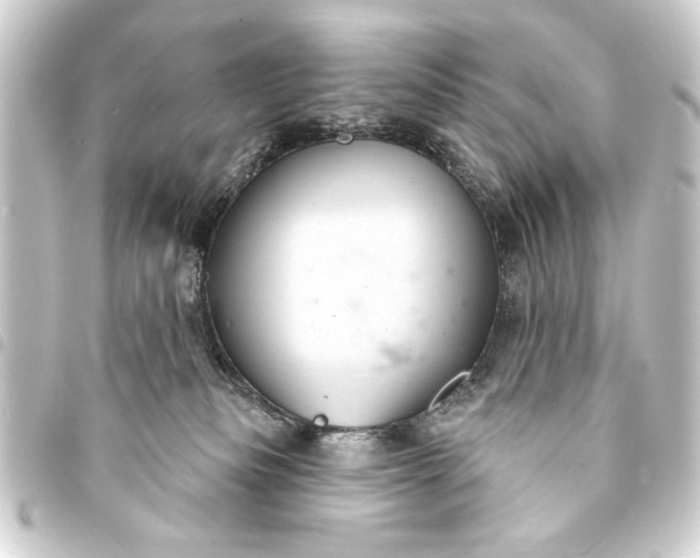 X0000093400133200711020942