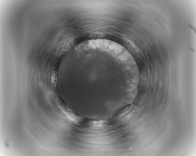 X0000093400134200711020942