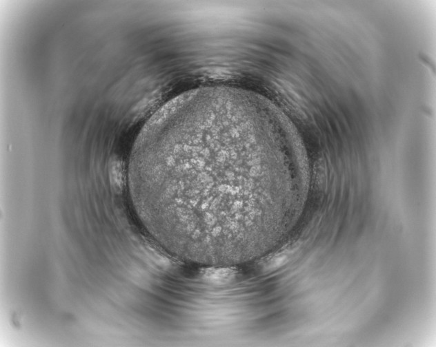 X0000093400135200711020942