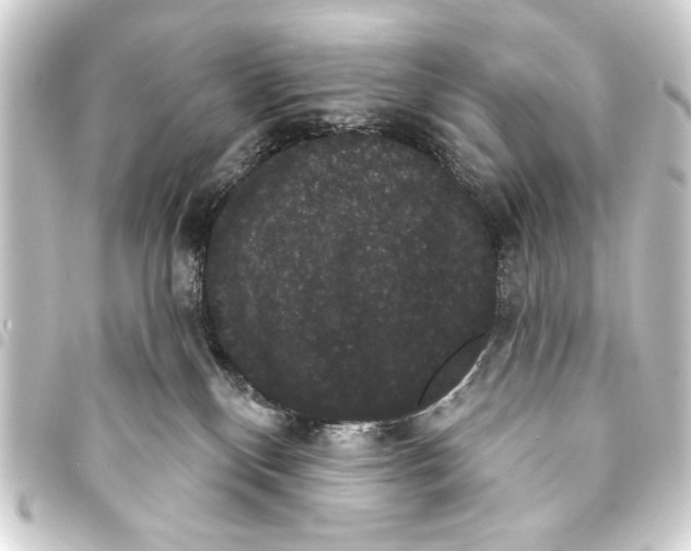 X0000093400136200711020942