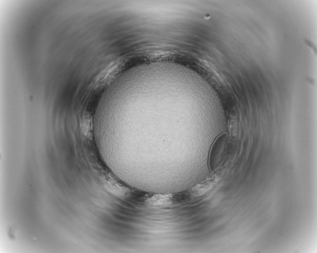 X0000093400138200711020942