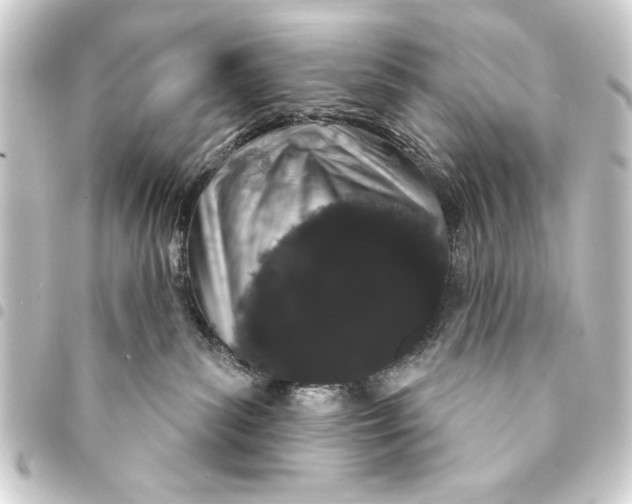 X0000093400139200711020942