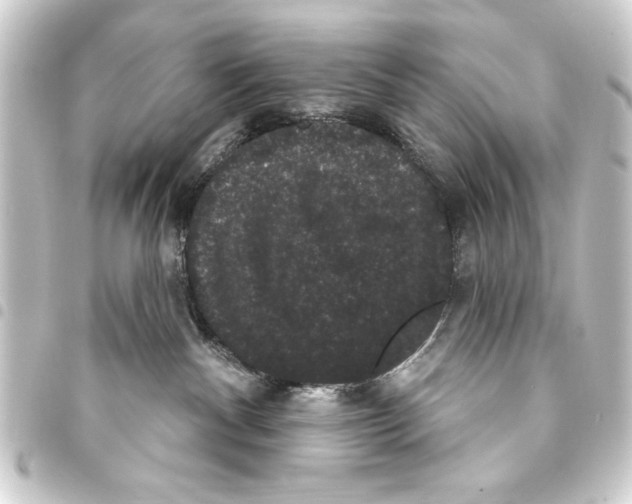 X0000093400140200711020942