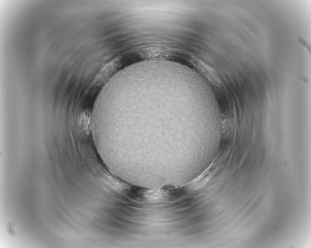 X0000093400142200711020942