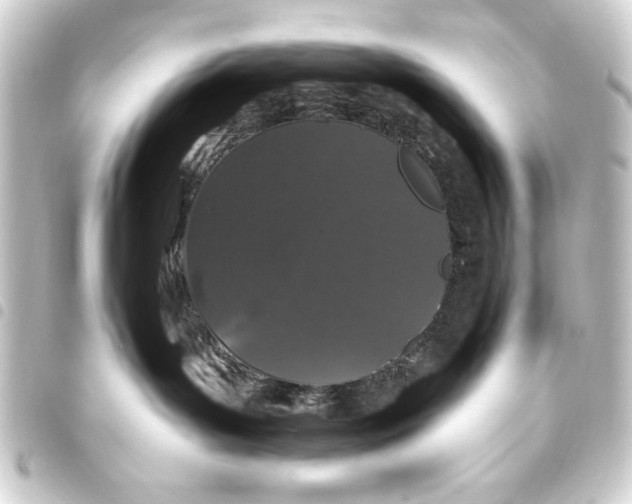 X0000093400143200711020942