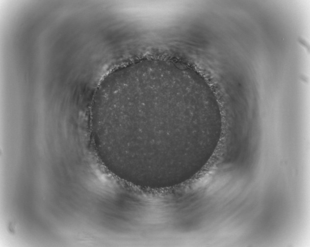 X0000093400144200711020942