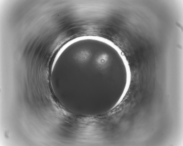 X0000093400146200711020942