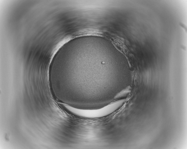 X0000093400148200711020942