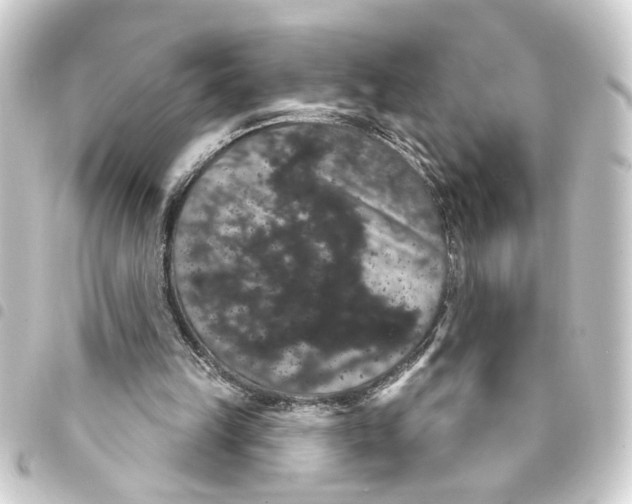 X0000093400149200711020942