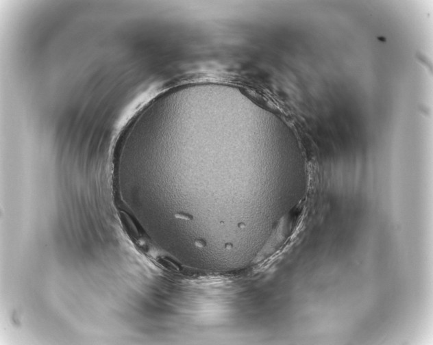 X0000093400150200711020942