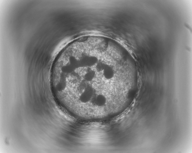 X0000093400151200711020942