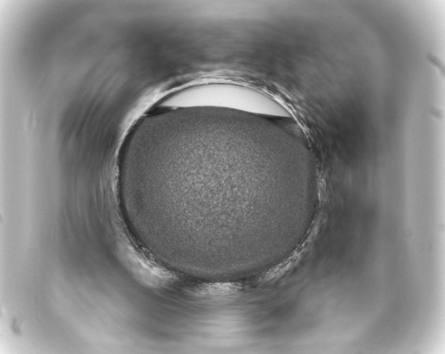 X0000093400152200711020942