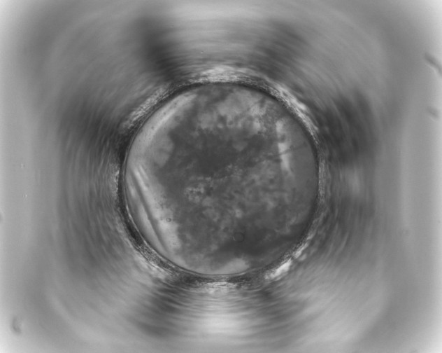 X0000093400153200711020942