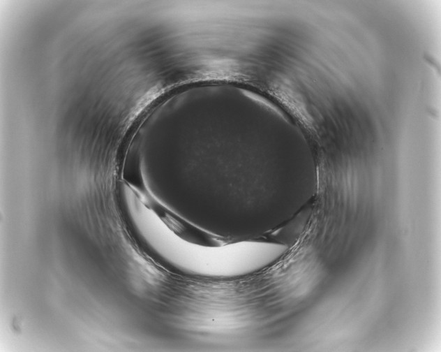 X0000093400156200711020942