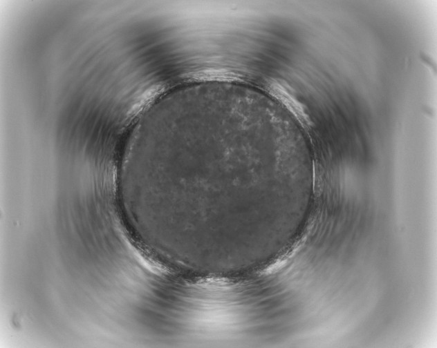 X0000093400157200711020942