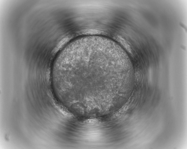 X0000093400159200711020942