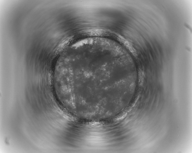 X0000093400161200711020942