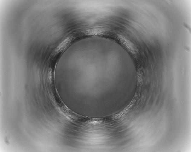 X0000093400163200711020942