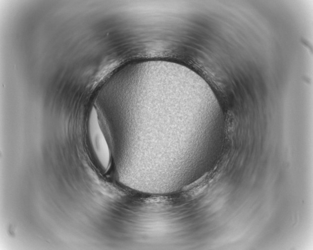 X0000093400164200711020942