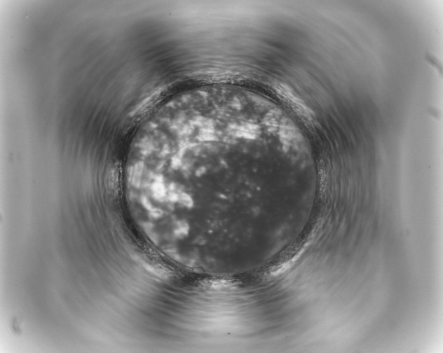 X0000093400165200711020942