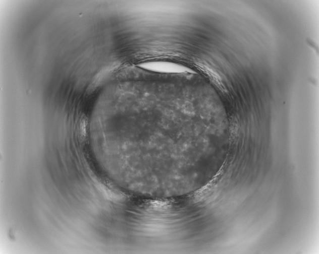 X0000093400166200711020942