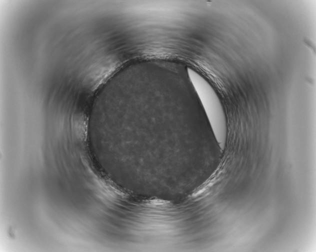 X0000093400168200711020942