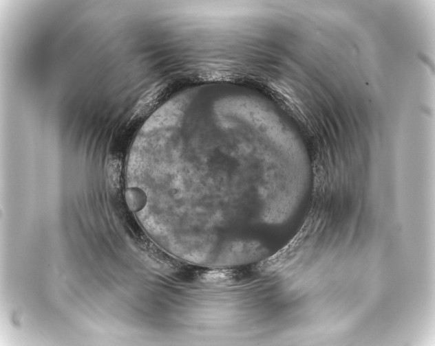 X0000093400171200711020942