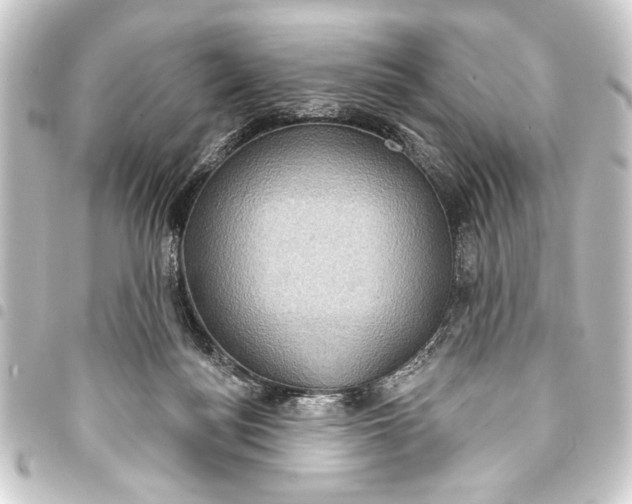 X0000093400172200711020942