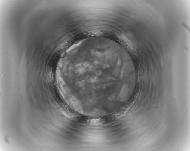 X0000093400173200711020942