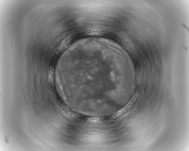 X0000093400175200711020942