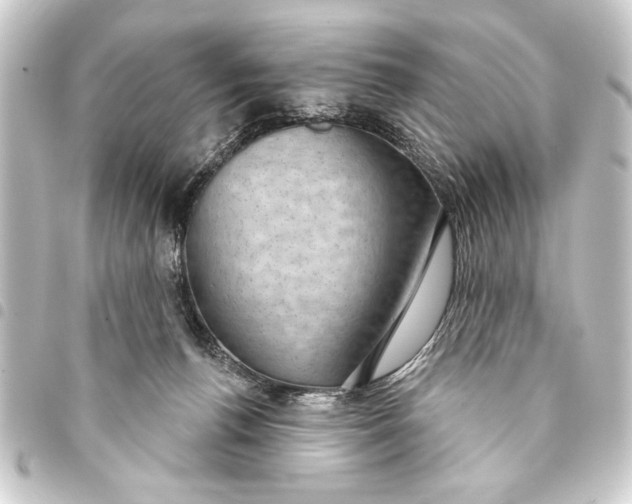 X0000093400176200711020942