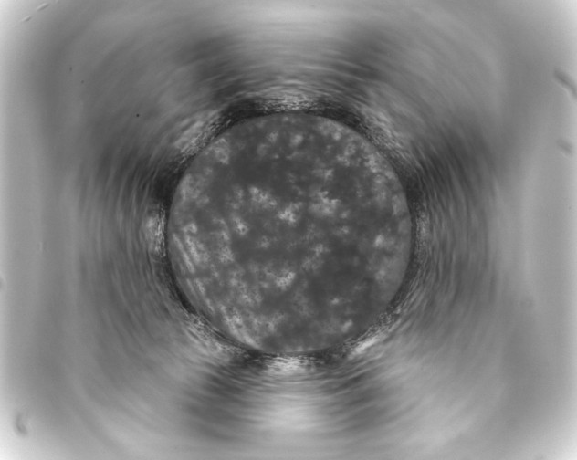 X0000093400177200711020942