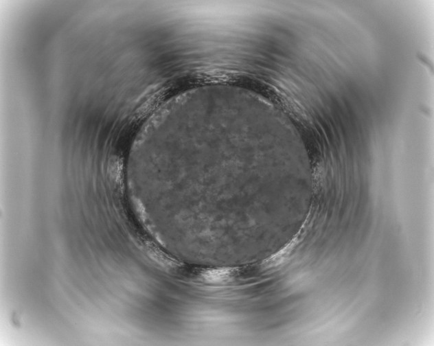 X0000093400178200711020942