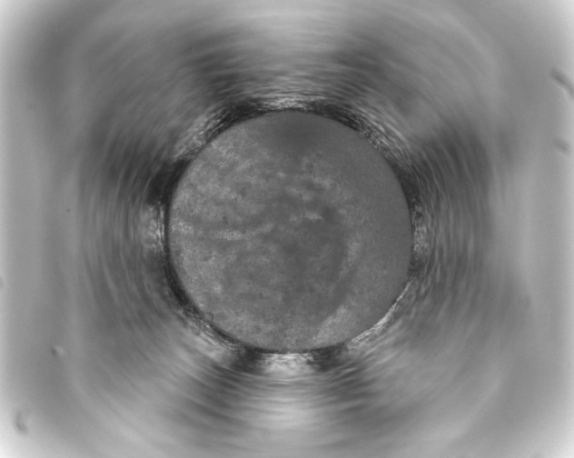 X0000093400179200711020942