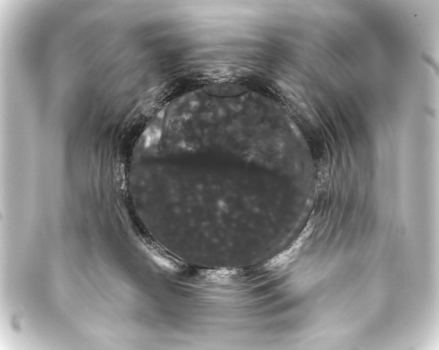 X0000093400182200711020942