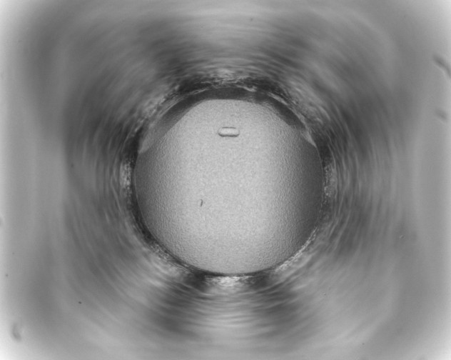 X0000093400184200711020942