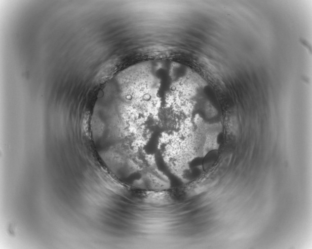 X0000093400185200711020942