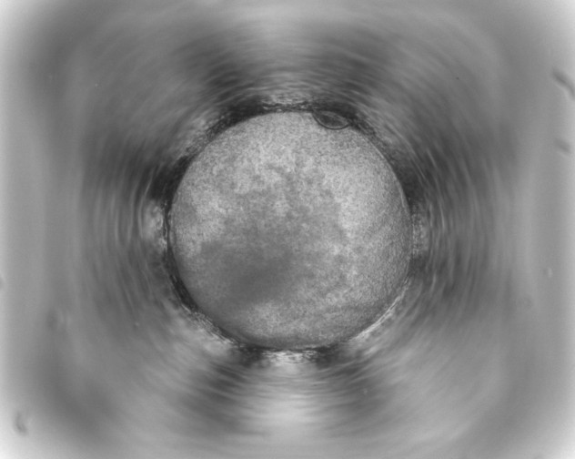 X0000093400187200711020942