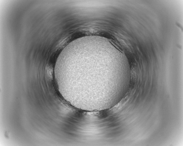 X0000093400188200711020942