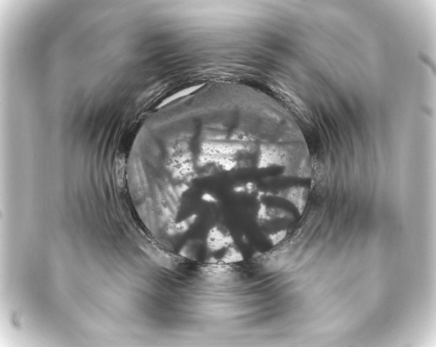 X0000093400189200711020942