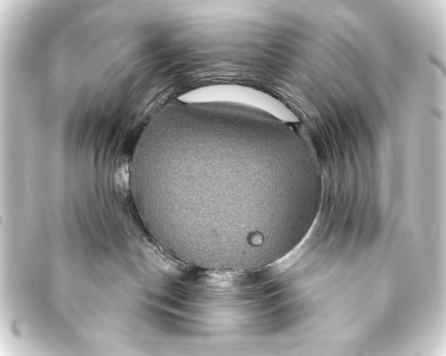 X0000093400190200711020942